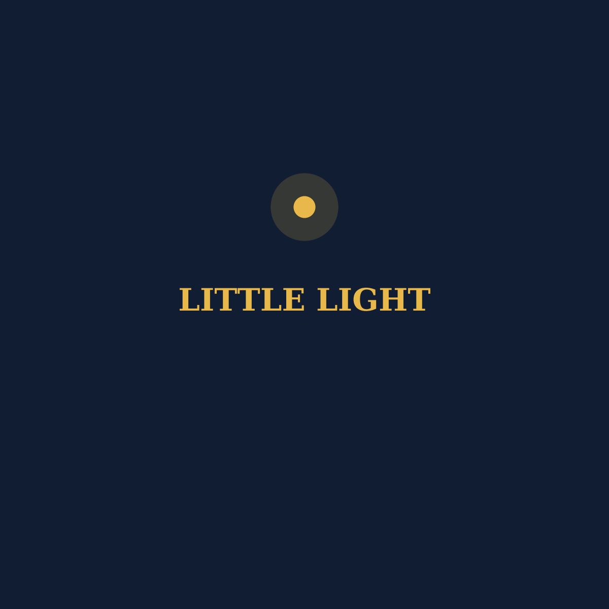LITTLE LIGHT